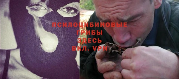 соль ск Гусиноозёрск