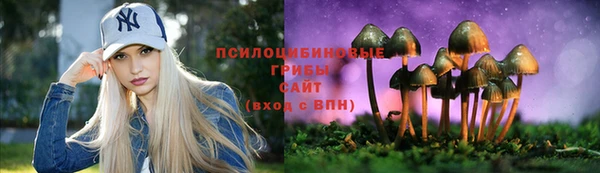 соль ск Гусиноозёрск