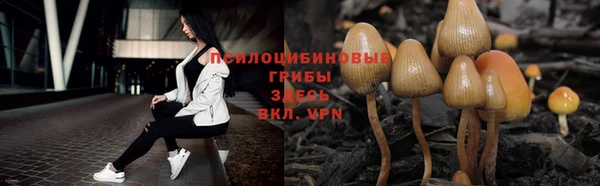 каннабис Гусь-Хрустальный