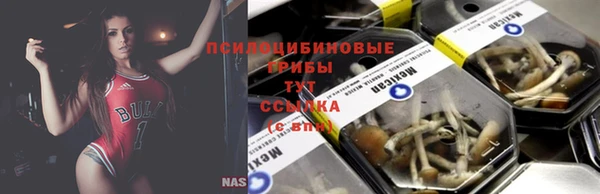 каннабис Гусь-Хрустальный