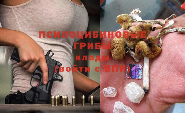 соль ск Гусиноозёрск