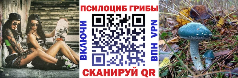 Псилоцибиновые грибы Psilocybe  Ленск 